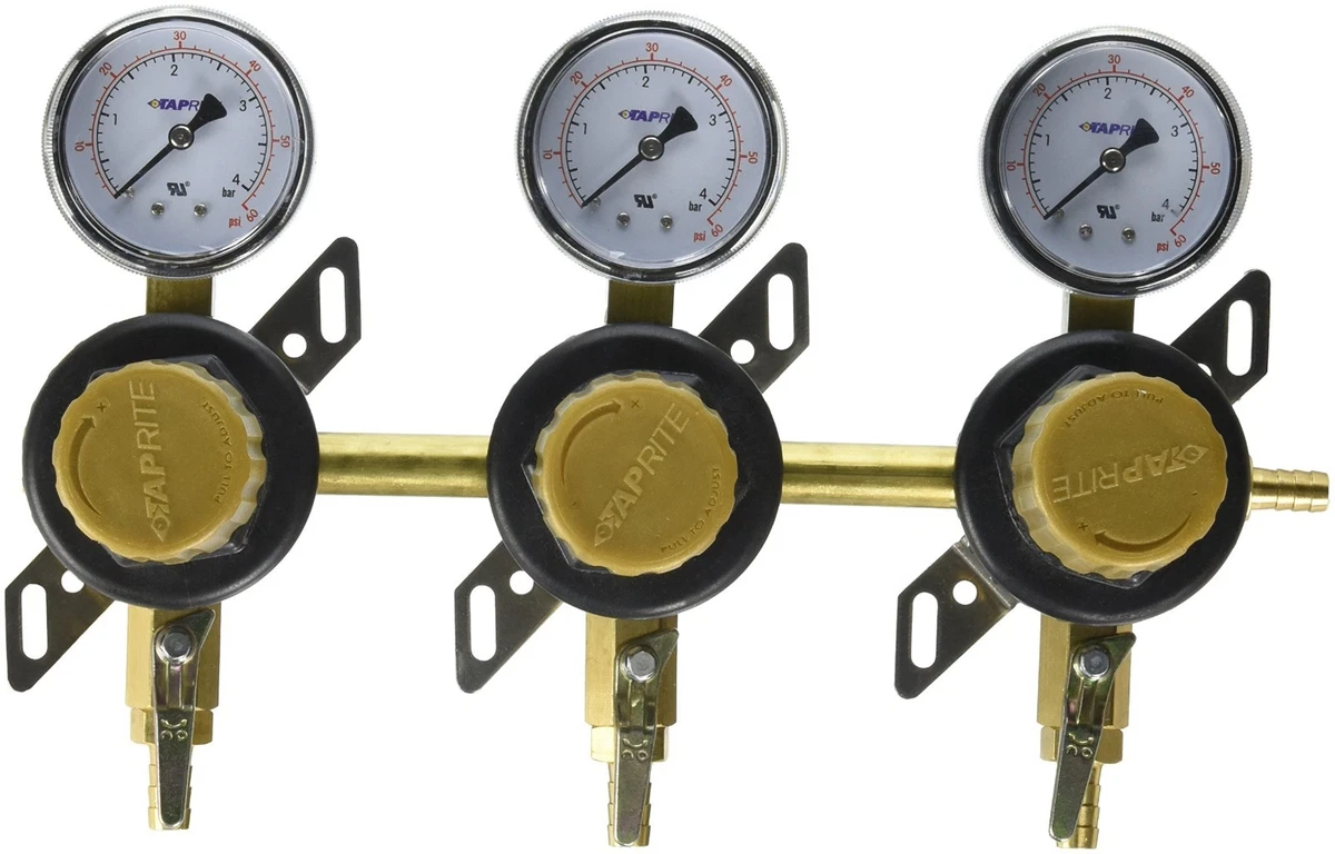 Eastpole CO2 Keg Regulator Dual Gauge Quick Disconnect Bierregelaar met Veiligheidsdrukontlasting 0-60 PSI 0-3000 Tankdruk