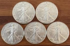 Lot Of 5 1 Oz American Silver Eagles