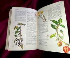 Altes Kräuterbuch aus 1978, Tees, Tinkturen, Rezepte, Salben, Öle, Bäder, Kuren.