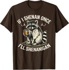 Raccoon If I Shenan Once I'll Shenanigan Funny Unisex T-Shirt