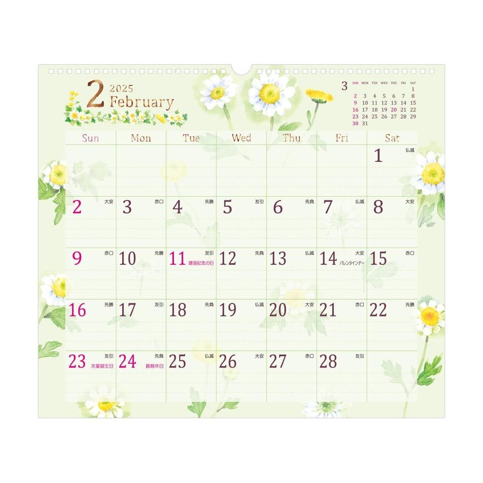 Country Time Floral Pattern L Wall Calendar 2025 MIDORI 13.2×15.0in