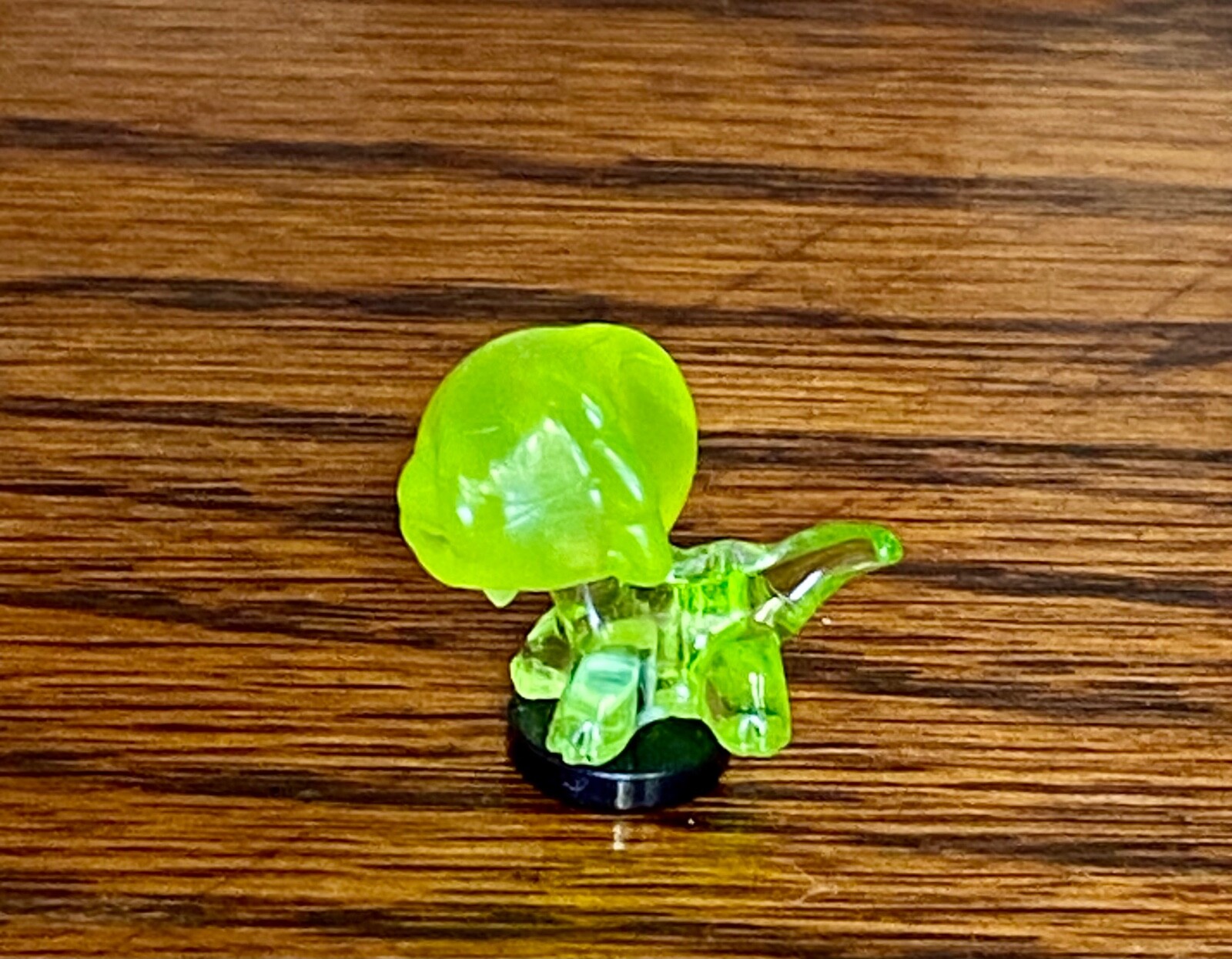 Picture 9 of 12