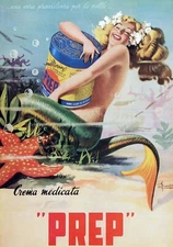 12633.Decor Poster.Home wall.Room art interior design.Prep medication.Mermaid