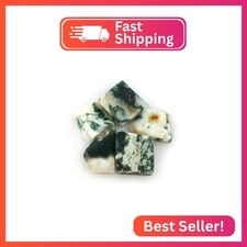 CRYSTALINES 5pcs Natural Raw Moss Agate Gemstones, DIY Jewelry Making, Wholesale
