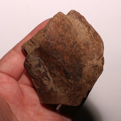Dinosaur Rib Piece Authentic Fossil Hell Creek Formation Cretaceous - Nice Piece