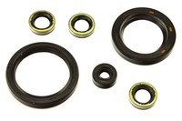 Motor Simmeringe Satz 6 StüCk FüR Kawasaki GPZ 1100 Z 1000 J K Ltd ST Z 1100 GPZ