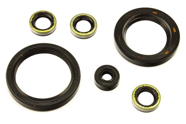 Motor Simmeringe Satz 6 StüCk FüR Kawasaki GPZ 1100 Z 1000 J K Ltd ST Z 1100 GPZ-image
