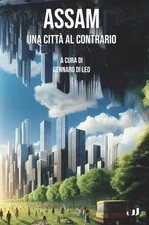 Gennaro Di Leo Assam. Una città al contrario (Paperback) (UK IMPORT)