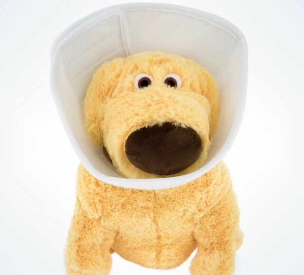 dug cone of shame plush