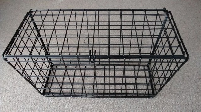 pashley ebay