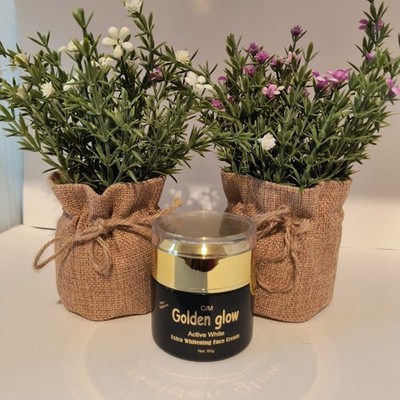 Golden Glow Active White Brightening FACE CREAM 60G X 1