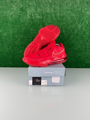 Size 10.5 - Titan x Nike LeBron 17 Low Agimat CLEAN!