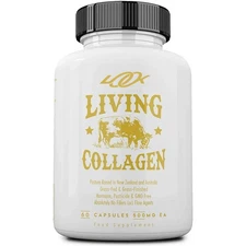 Grass Fed Beef Living Collagen Nutritional Powder Supplement