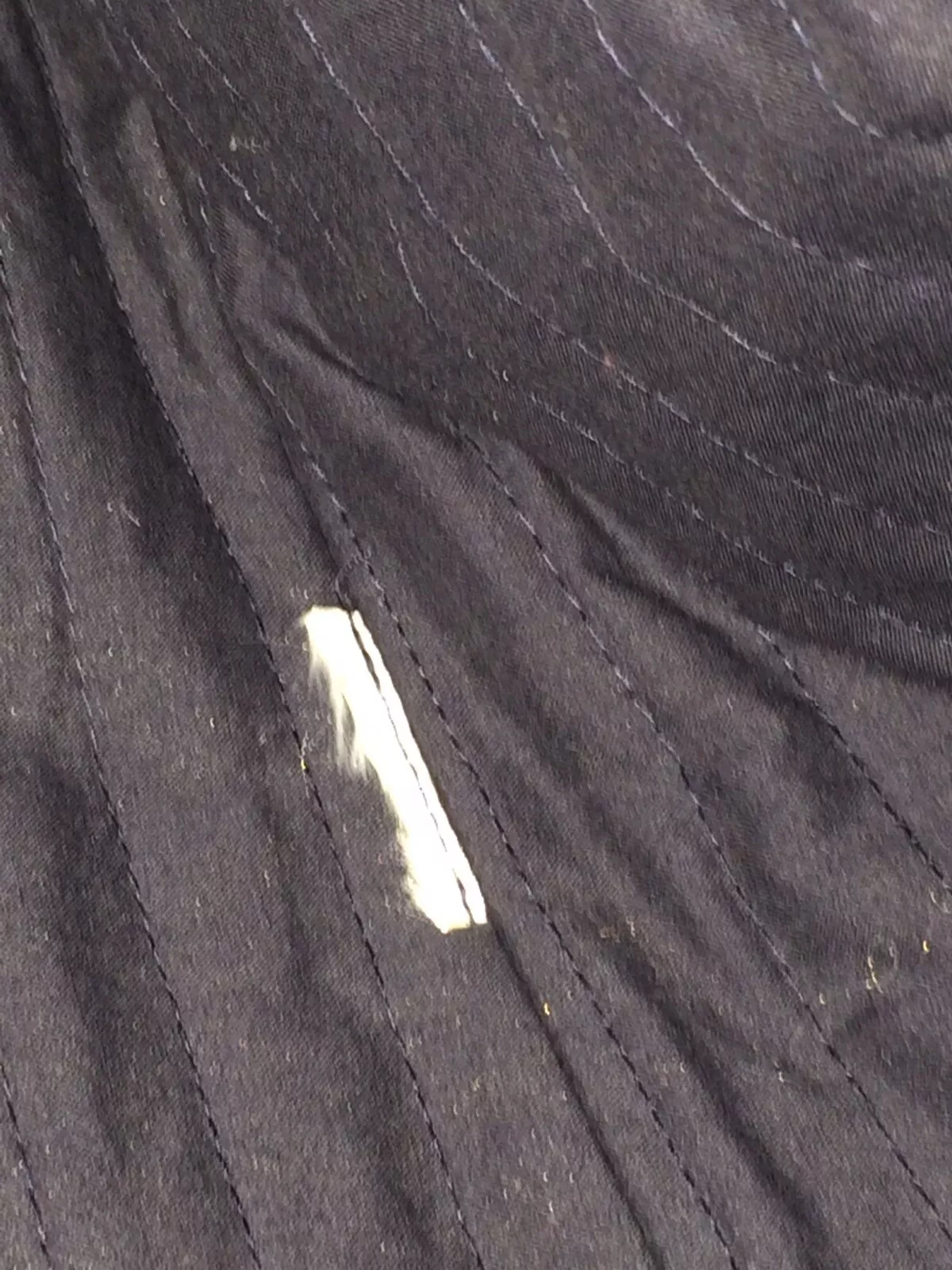 Picture 6 of 6