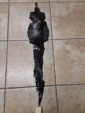 Black Genuine Alligator Full Hide Leather Skin 76 cm/ 30 in x 16 cm/6.25 in