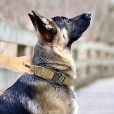 Tactical Heavy Duty Nylon Large Dog Training Collar Military With Metal Buckle