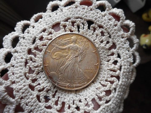 2006 AMERICAN SILVER EAGLE/ 1oz .999 Fine Silver /Toned