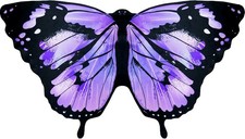 Monarch Butterfly-Wings for Kids Girls Princess Dress-Up Fairy Costume for Toddl