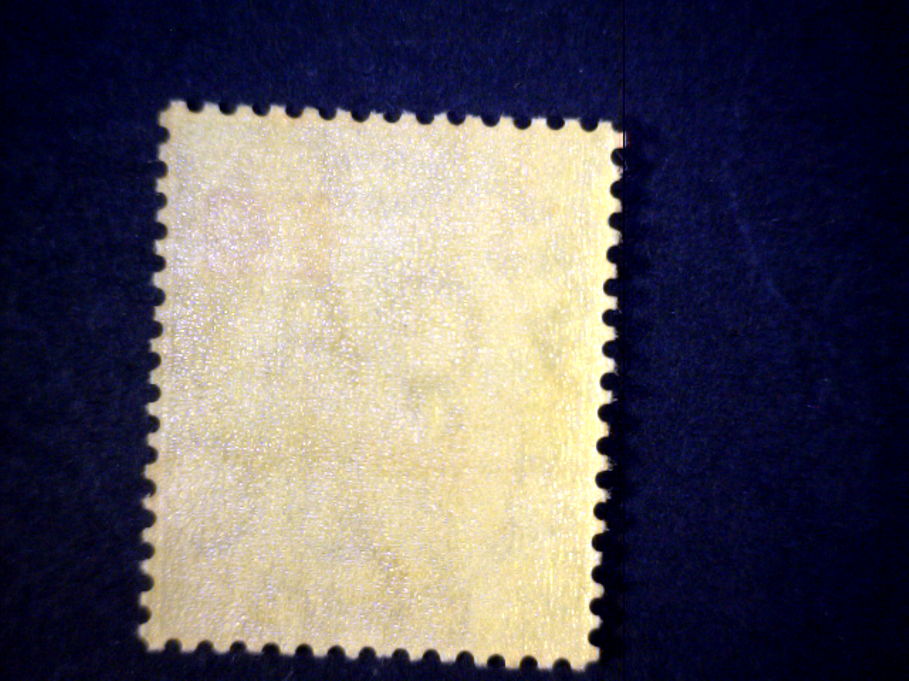 Foto 2 di 2