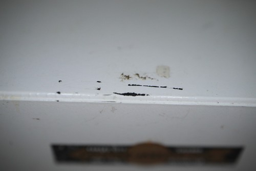 Ho Scale Lot #20 Trailer Container Sealand und mehr - Bild 8 von 15