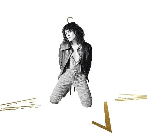 洋楽 T.REX THE STUDIO ALBUMS 1970-1977 T. Rex, T.Rex - The Studio Albums 1970-1977 - Deluxe Packaging 8CD