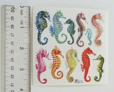 Violette Stickers - SEAHORSES - 4x4 Square Sticker Sheet #K47