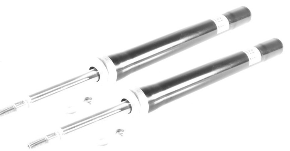 2x Gas Shock Absorber Front Right=Left GH-341588