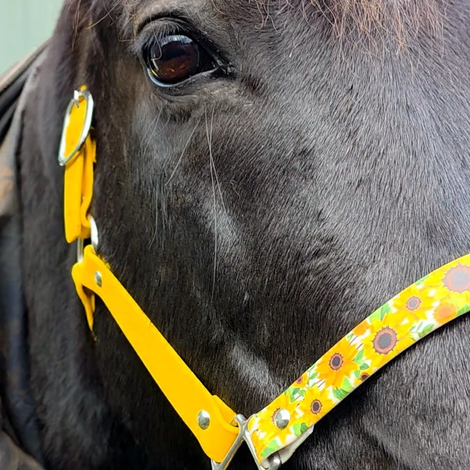 Biothane Pferdehalfter - Sonnenblumen - Bild 3 von 4