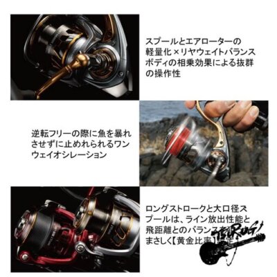 Daiwa 17 inparuto 3000sh – LBD | eBay