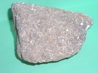 ANCIENT FOSSIL ROCK--UNIQUE & ONE OF A KIND--FROM CALIFORNIA — photo 6
