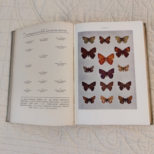 Butterflies The New Naturalist No 1 E.B. Ford Rare 1946 Vtg 2nd print Entomology - Foto 14 di 24