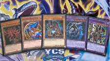 Mazzo Mago Nero Yu-Gi-Oh 40 Carte Anime Deck Yugi Completo Pronto