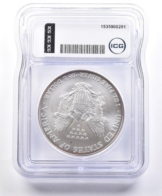ERROR 2004 American Silver Eagle Struck Thru ICG *2356 | eBay