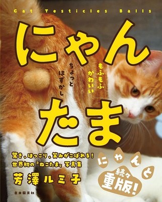 Picture Book NYAN-TAMA Cat Testicles Male Cats Furry Balls Japanese Photo Book
