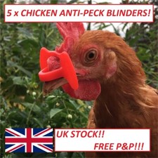 Chicken Anti Peck Glasses Blinders Goggles Anti-pecking Glasses Poultry