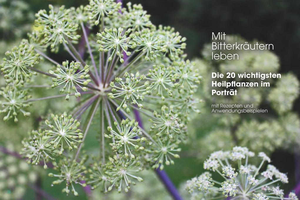 Thumbnail - Gut, Besser, Bitter | Andreas Hammering | 2016 | Deutsch