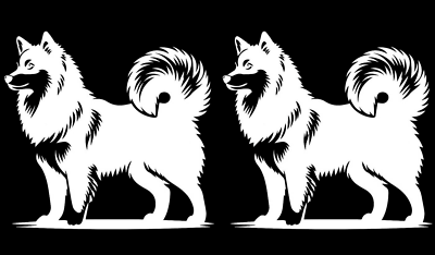 #ad Siberian Husky 2 Pack White Vinyl Decal Car Truck Windows Laptop Notebook Tablet $6.98