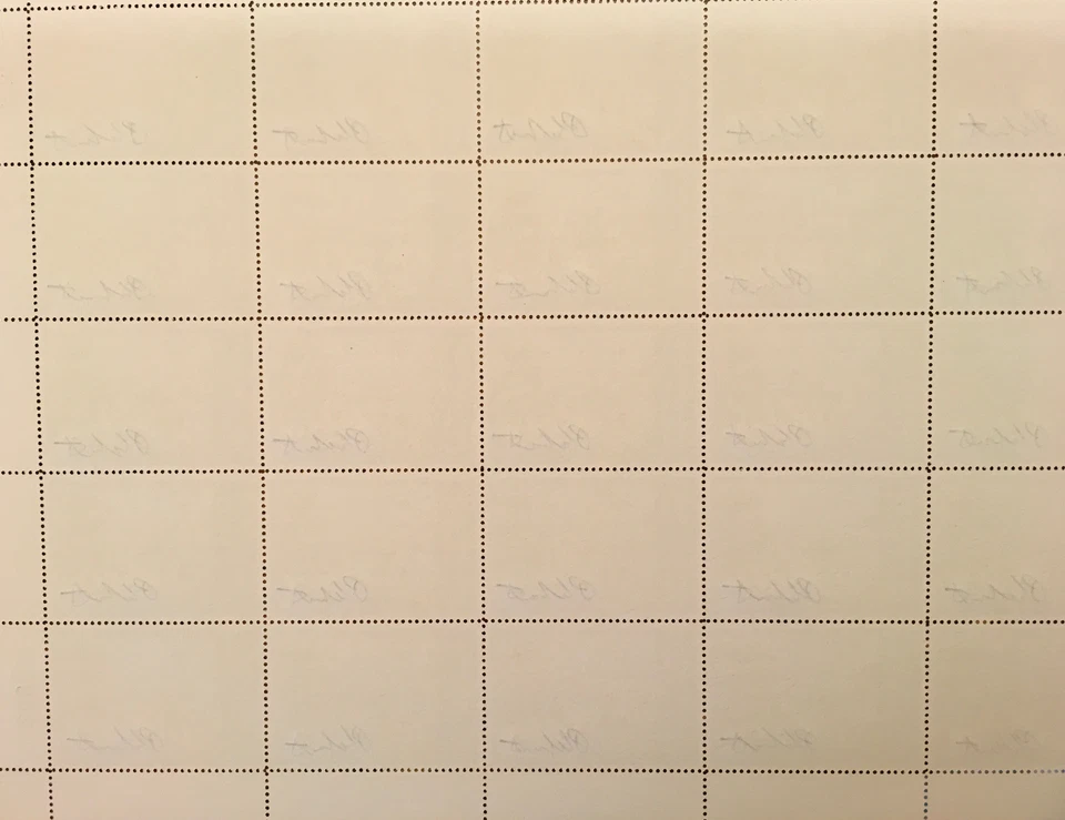 NY4s Nova York 1988 *FOLHA COMPLETA EM PERFEITO ESTADO ASSINADA* Plasschaert, Pintails *RARO* - Imagem 4 de 4