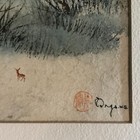 Foto 7 di 15