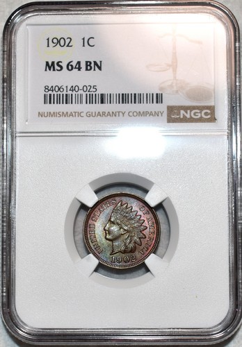 Centavo cabeza india NGC MS-64 BN 1902, atractivo tono y afilado.