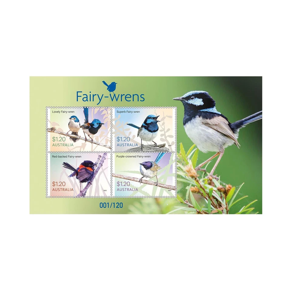 Colección de estampillas Fairy-wrens - Pájaros Foto 3 de 4