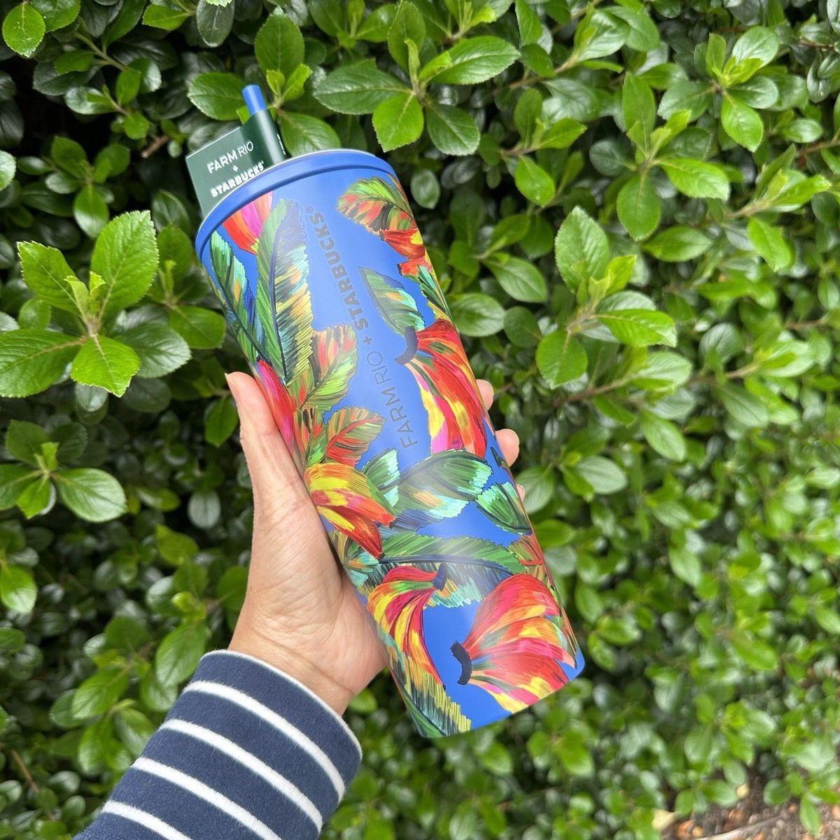 STARBUCKS FARM RIO STAINLESS STEEL 24oz BANANA MIX Radiant