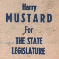1948 Dr Harry Mustard State Legislature New York City Republican Party Vote
