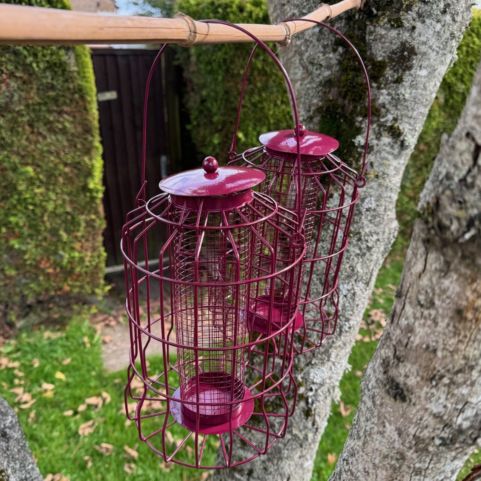 B&Q -  Squirrel Proof Hanging Bird Nut Feeder (Set Of 2) - Image 2