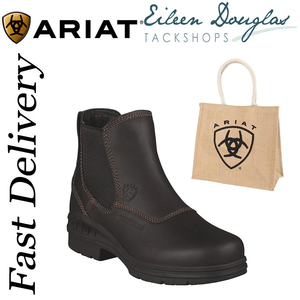 ariat barnyard twin gore h20