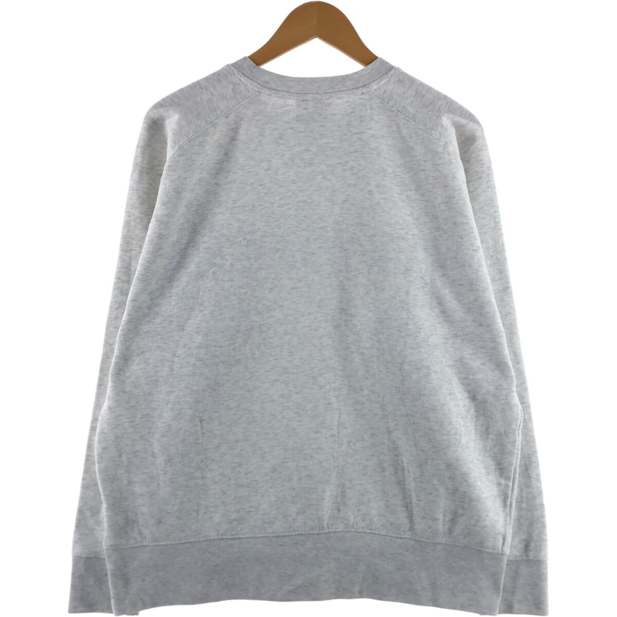 Champion Authentic Athleticwear Raglan Sleeve College