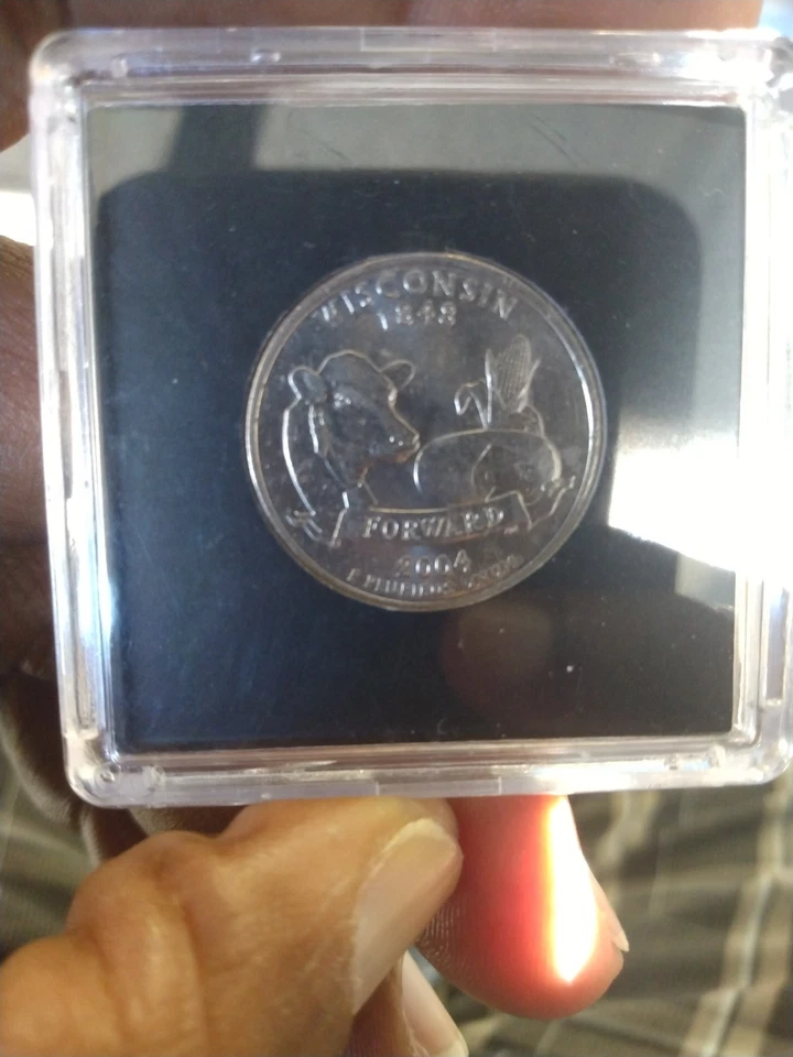 2004-D Wisconsin Quarter *ERROR* Extra Leaf Low. Circulated (1) - Image 4 of 4