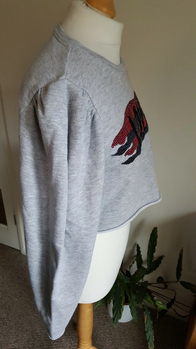 ZARA Trafaluc Over sized Grey Rough Hem Puff Balloon Sleeve Crop