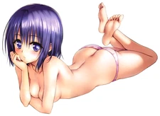 Sairenji Haruna To Love-Ru Waifu Anime Sticker 6" Car Decal Weatherproof