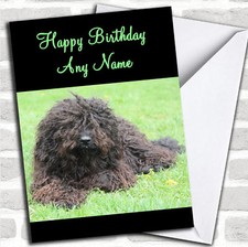 Barbet Dog Birthday Customised Card